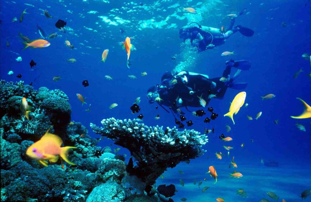 Diving places in Turkey