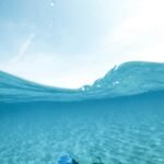 Aquatic Adventures: Exploring Beyond the Pool